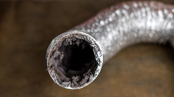 Mold remediation Owensboro, KY