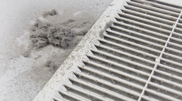 Mold remediation Owensboro, KY